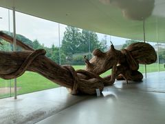 -金泽21世纪美术馆