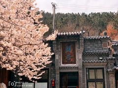 -老张烤羊(王哥庄店)