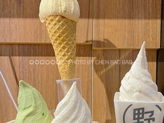 -野人先生现做冰淇淋(北京顺义祥云小镇店)