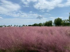 -漩门湾国家湿地公园