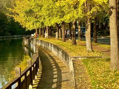 -成都市活水公园