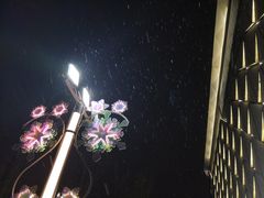 -运·中餐厅(成都华尔道夫酒店)