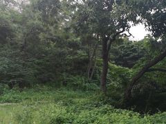 -盛世美邦