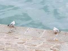 -小麦岛公园