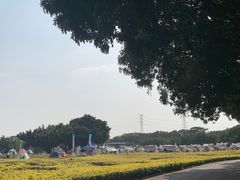 -海上田园
