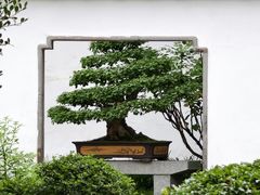 -上海醉白池公园
