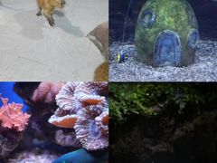 -南昌海洋公园