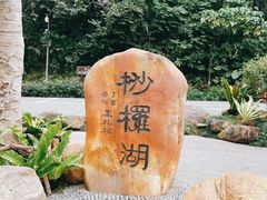 -深圳仙湖植物园