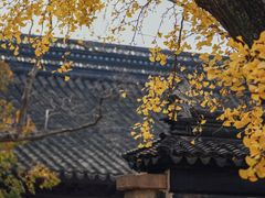 -苏州碑刻博物馆