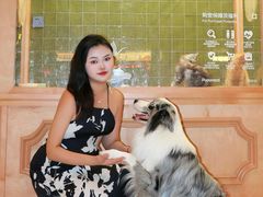 -帕帕拉兹宠物(亚洲旗舰店)