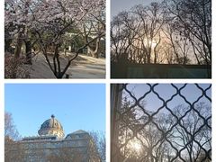 -北京动物园