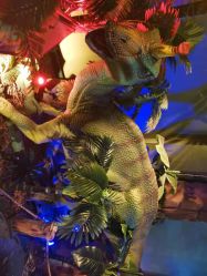 点击看大图 -恐龙探索乐园(磁器口店)