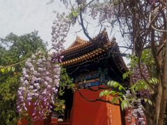 -北京国子监胡同
