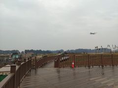 -空港花田景区