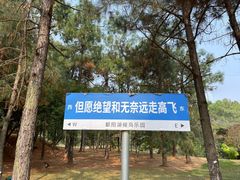 -鄱阳湖国家湿地公园