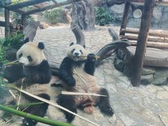 -乐和乐都主题乐园