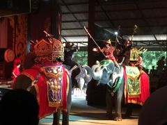 -东芭乐园