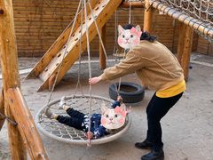 -世纪飞马幼儿园(西城校区)