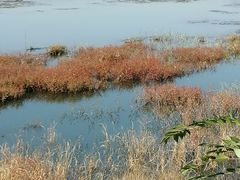 -青龙湖公园