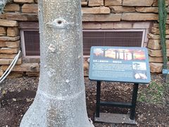 -北京植物园-展览温室