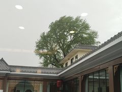-岚县土豆宴(总部)