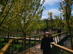 -东郊湿地公园