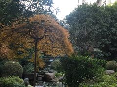 -新湖明珠城