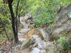 -南山植物园