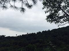 -雨花胜境