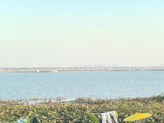 -七的湖·晚芳亭·阳澄湖农家菜·大闸蟹(莲花岛店)