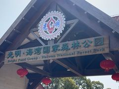 -上海海湾国家森林公园