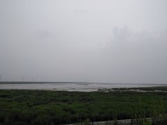 -黄海国家森林公园