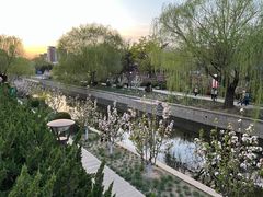 -海棠花溪(元大都城垣遗址公园)