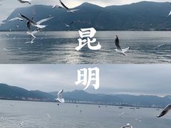 -海埂大坝