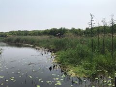 -同里国家湿地公园