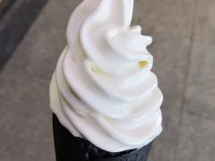 鲜椰奶冰淇淋-自然椰·海南清补凉(海月广场店)