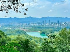 -大奇山国家森林公园