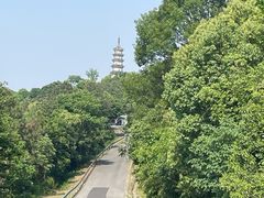 -苏州上方山国家森林公园