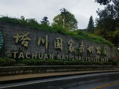 -塔川景区