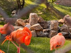 -沈阳森林动物园