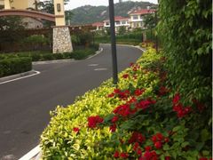 iphone_upload_pic-厦门帝元维多利亚大酒店(环岛路黄厝海滩店)