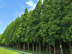 -南京金牛湖风景区