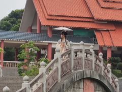 -大屏嶂森林公园