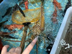 -79号渔船海鲜饭店(宝安店)