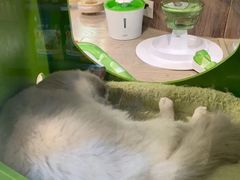 -仲盛世界商城