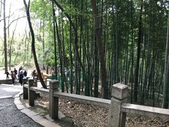 -灵岩山风景区