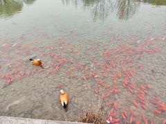 -河北省园博园