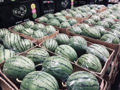 -菜园坝水果市场