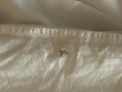 iphone_upload_pic-无锡日航饭店