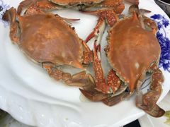 -望海潮海鲜店 特色家常菜(在海一方店)